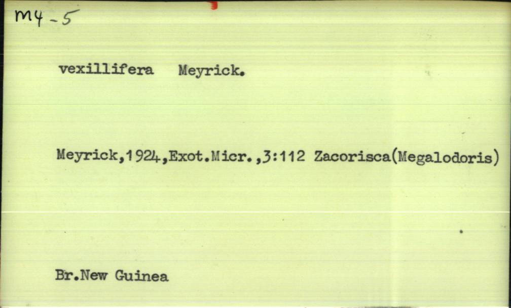 front of card